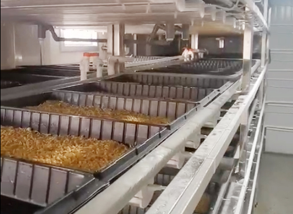 方艙內部種子發芽